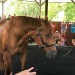 2019_OTRA_0584 (September 01, 2019)